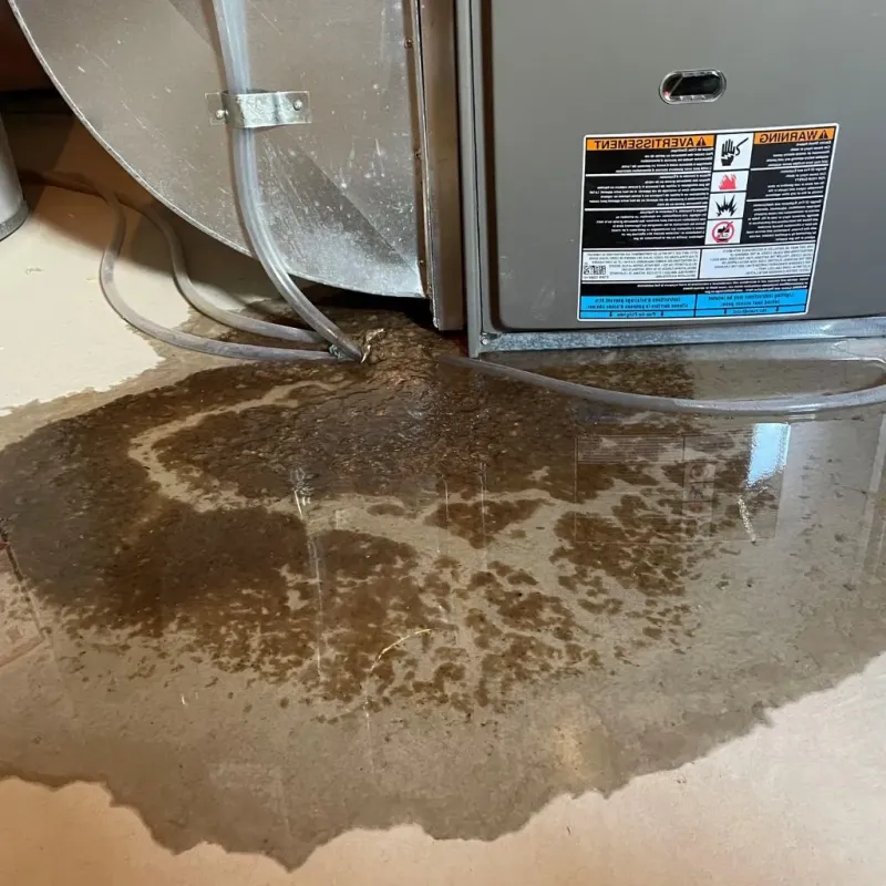 Pipe Burst and Leak Restoration in Mahanoy City, PA