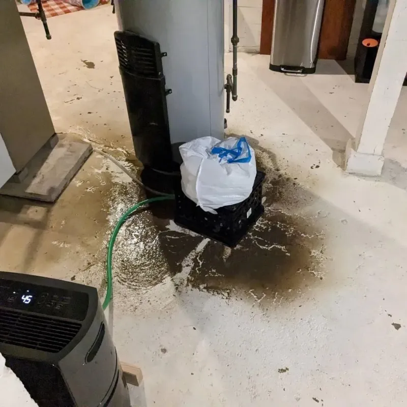Sewage Backup Cleanup Service in Mahanoy City, PA